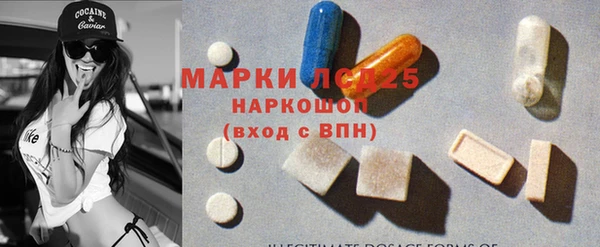 сатива Белокуриха