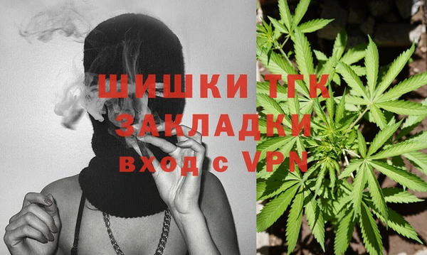 гидра Белоозёрский